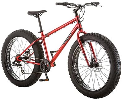 Fat-Tire Bike