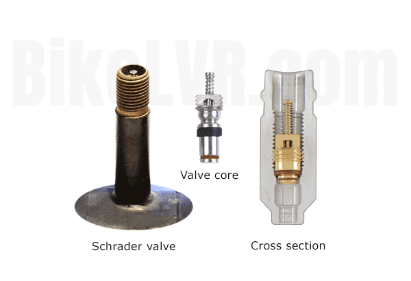 Schrader valve cross section