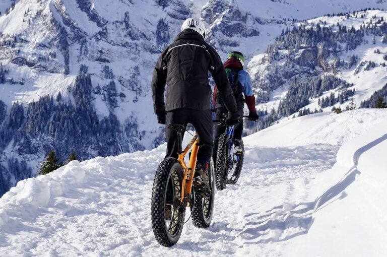 Fat tire bikes