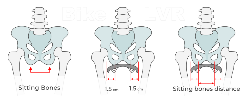 sitting bones saddle size